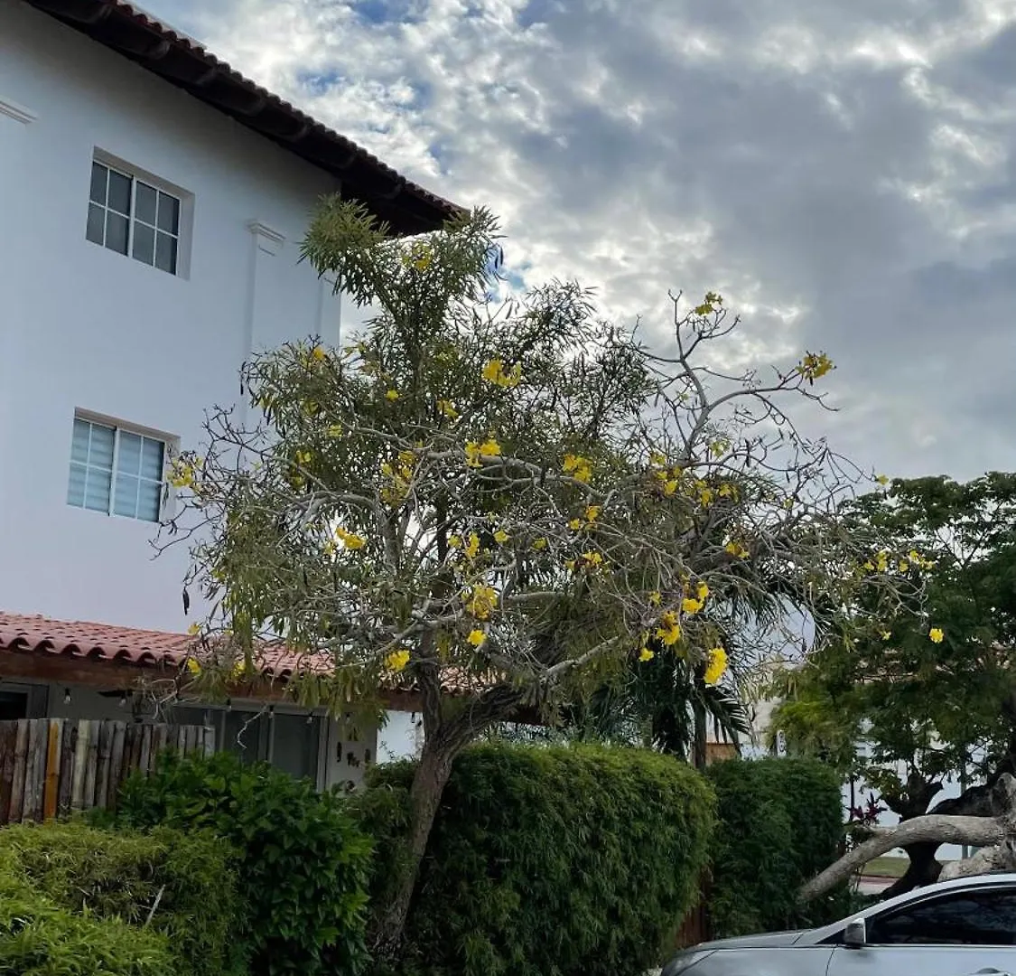 Compacto Y Acogedor, Apartamento En Cap Cana Apartment Punta Cana